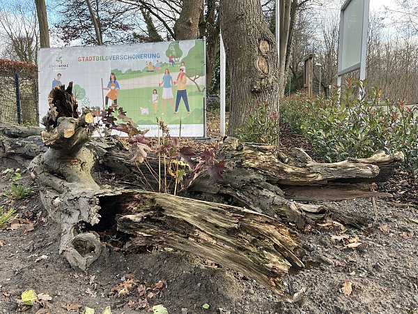 Mit einem großen Banner machen die Gärtner der Stadtwerke auf diesem Beet darauf aufmerksam, dass die Stadt naturnah verschönert werden soll. - © Elke Niedringhaus-Haasper