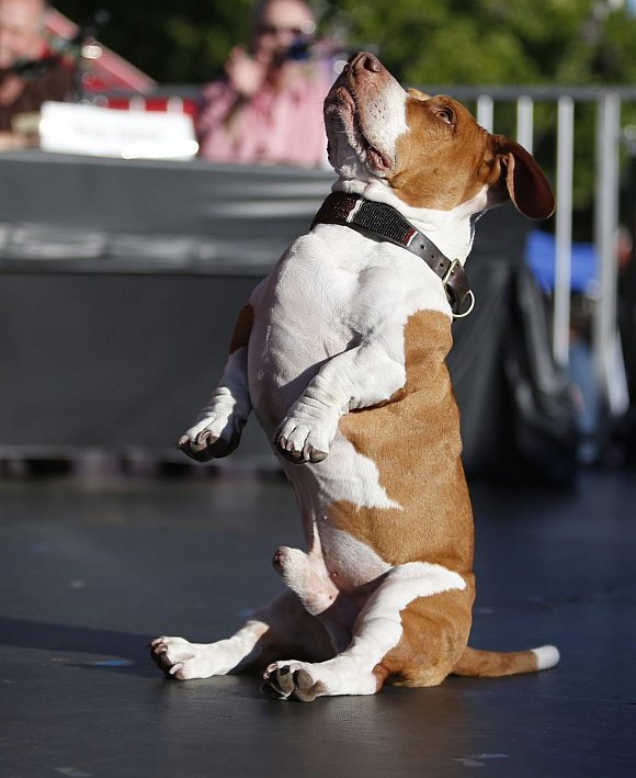Walle - © dpa