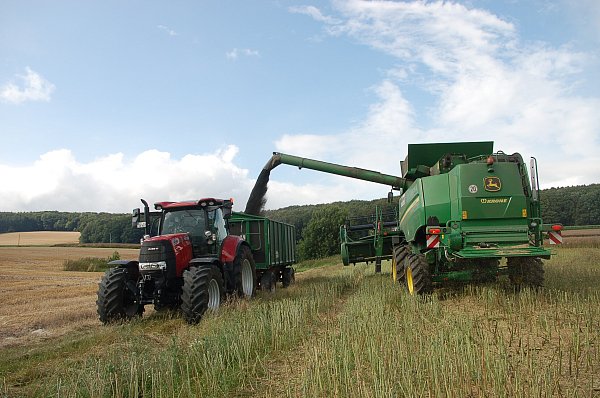 Überladen auf dem Feld: der Traktor transportiert den Raps ab. Gut erkennbar beim Mähdrescher ist die hintere Achse mit der er gelenkt wird und das "20 Km"-Schild. - © Ingrun Waschnik