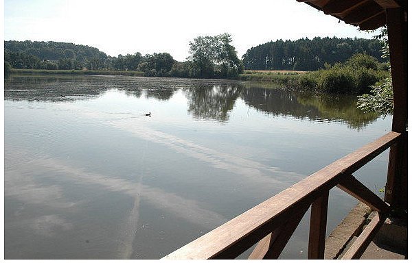 Der Norderteich von der Schutzhütte aus gesehen. - © FOTO: MANFRED BRINKMEIER