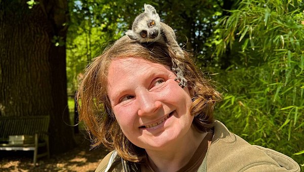 Hat Zutrauen gefasst: das Kattakind auf dem Kopf seiner Pflegerin Frauke Niehaus. - © Hannchen Fenna Kloppert/Tierpark Ströhen