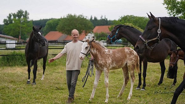 Friedo Berg mit dem Fohlen Esquin old FB auf der Weide. - © Yvonne Gottschlich