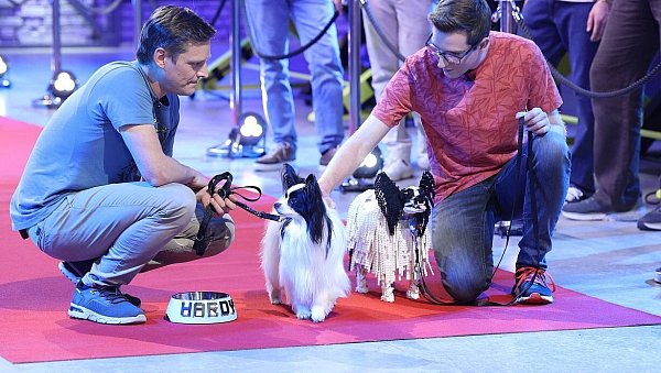 Matthias (l.) und Julian präsentieren ihr LEGO-Hundemodell vor der Jury. - © RTL / Frank W. Hempel
