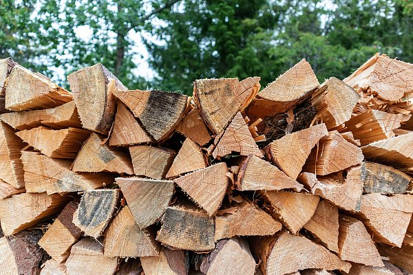 Im Online-Shop gibt es mehrere verschiedene Sorten Holz. - © Unsplash