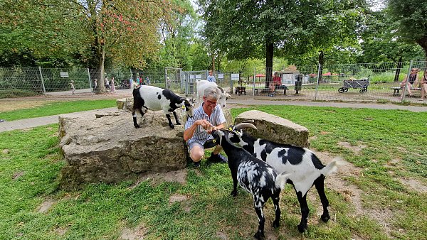 Seit 25 Jahren kümmerst sich Rainer Stadler um die Ziegen auf der Streichelwiese. - © Flora Westfalia