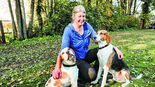 Blutspende von Hund zu Hund nw.de