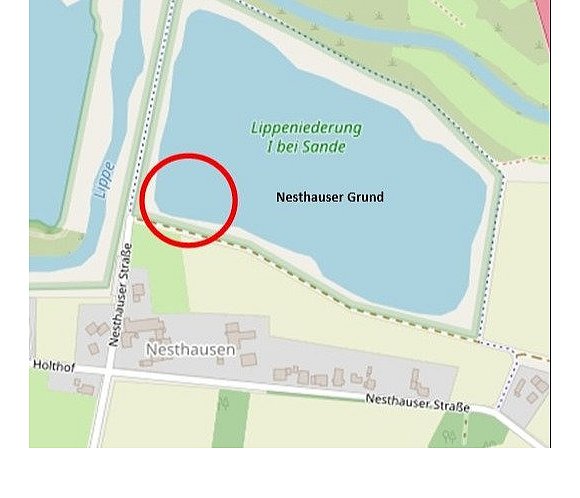 Der Fundort der Geldkassetten im Nesthauser Grund ist rot markiert. - © Karte: OpenStreetMap