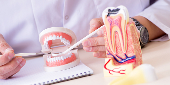 Endodontie beschäftigt sich mit dem Inneren des Zahns und dem Erhalt erkrankter Zähne. - © Canva