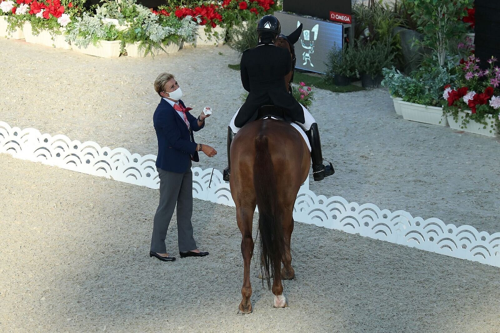 Deutscher Reitverband gegen Änderung der «Blut-Regel»