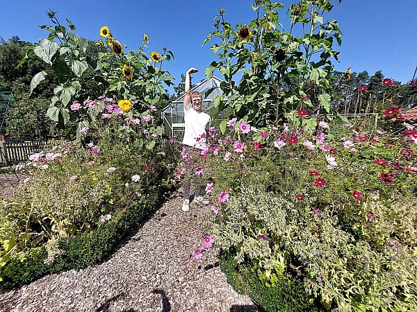 Sohn Robert Filius deutet an, wie groß die Sonnenblumen im elterlichen Gartenparadies sind. Sie erreichen eine Höhe von 2,50 Metern. Der 31-Jährige studiert Gartenbau und hilft regelmäßig mit. - © Karin Prignitz