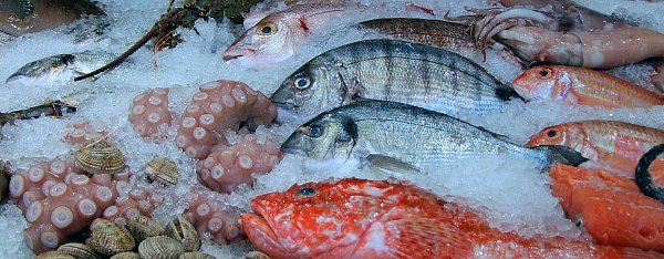 Augen auf: Beim Fischkauf ist die Frische besonders wichtig. - © Pixabay