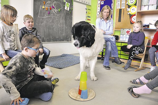 Aktiv: Tim (7) hat unter einem der bunten Becher ein Leckerli versteckt, das Therapiehund Pepper auf sein Kommando hin, suchen soll. - © Helga Krooß