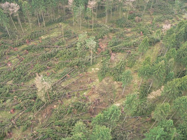 Zerstörung: Luftbild eines geworfenen Waldbestands im Eggegebirge bei Altenbeken-Buke im Kreis Paderborn.  - © Joachim Padberg