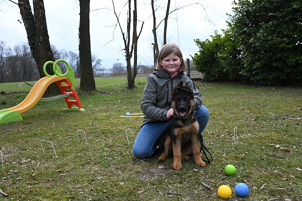 Paula Laßmann (8) verbringt mit Welpe Tilde (13 Wochen) Zeit in der Hunde-Spielecke. - © Louisa Kohnert