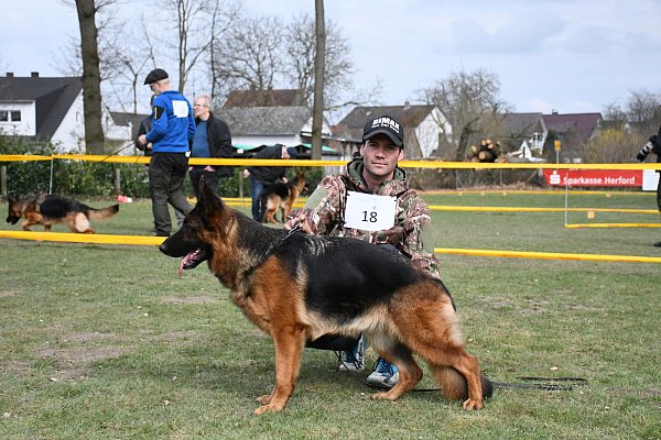 Besuch von weit her: Alexis Bustamente aus Santiago de Chile führte Gaga von Arlett (2,5) und hat auch eigene Schäferhunde in Deutschland. - © Louisa Kohnert