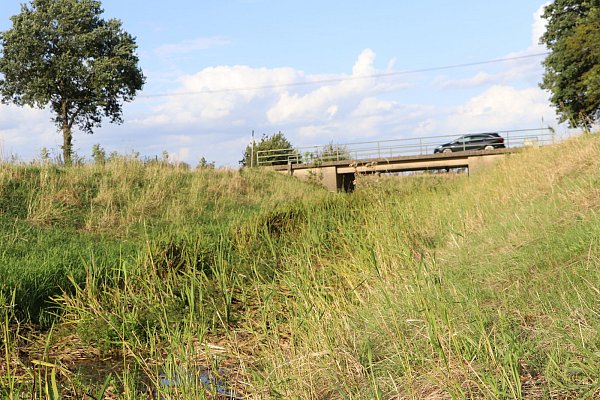Hier fließt nichts: Im Großen Dieckfluss in Stemwede ist der Wasserstand kaum noch erkennbar. - © Sonja Rohlfing