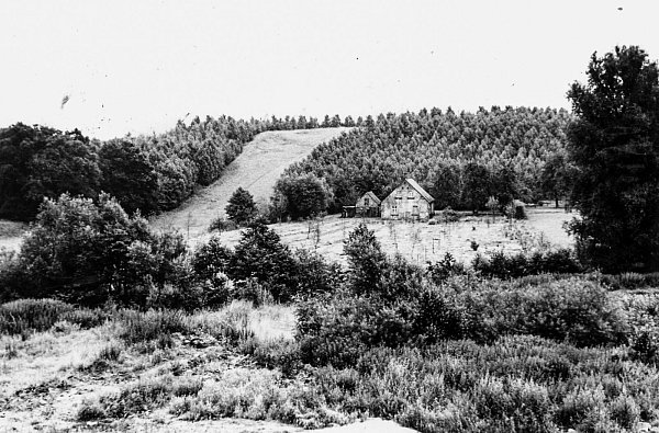 Beliebte Rodelbahn: Auf diesem Foto aus dem Jahr 1962 ist die beliebte Monte-Scherbelino-Rodelbahn zu sehen. - © Stadtarchiv