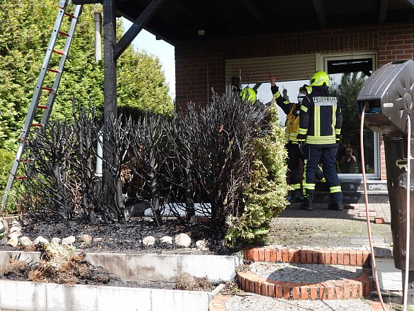 Von der Lebensbaumhecke bleibt nicht mehr viel übrig - © Anke Schneider