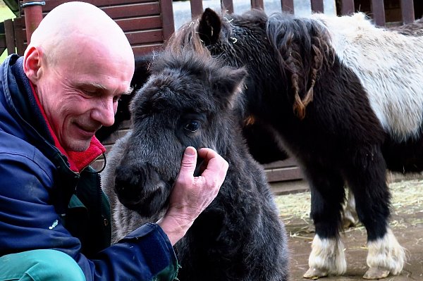 Rosi und Markus: Hinker heißt der Tierpfleger mit Nachnamen, das Pony ist am 10. November geboren. - © Kurt Ehmke