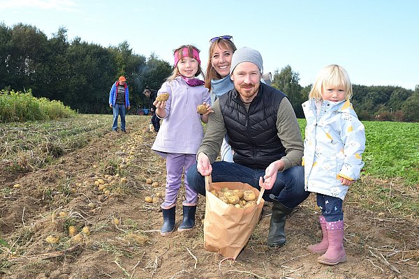Sarah und Malte Faber sind mit ihren Kindern Matilda (5) und Samina (fast 3) dabei. Die Kinder sammeln mit Begeisterung so viele Kartoffeln auf, dass der Papa mehrfach neue Tüten holen muss. - © kprignitz