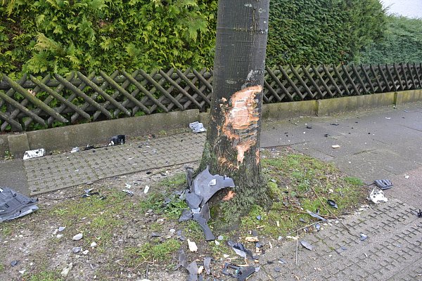 Der Baum hielt dem Aufprall des Autos stand. - © Melina Nolte