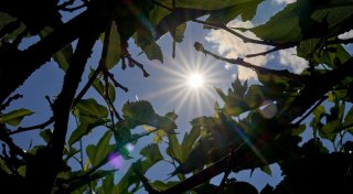 Der Sommer kehrt zurück