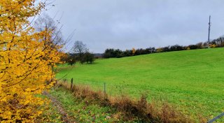 Riesiger Bielefelder Müllberg hat viel mit dem Klima und mit Kühen zu tun