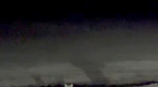 Ein Goldschakal auf Sylt - wie ungewöhnlich ist das?