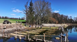 Nach Trockenlegung und Deichreparatur: Das Leben kehrt zurück in den Bünder Moorsee