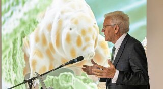 Tapsig und zäh: Neue Bärtierchenart nach Kretschmann benannt