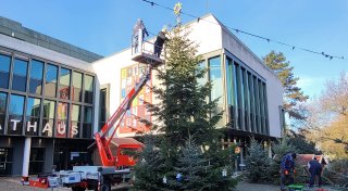 Mit Herz und Handarbeit: „Ein Weihnachtsbaum für Bünde“ 2025 nimmt Gestalt an