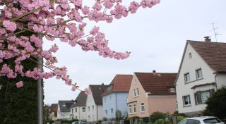 In diesem Bielefelder Stadtteil entstehen neue Häuser in zweiter Reihe