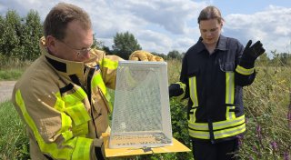 Ungewöhnlicher Feuerwehreinsatz in Höxter: Bewohner finden Schlange im Keller