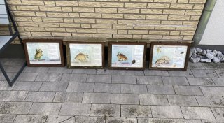 Vandalismus ärgert Anwohner und Vereine in Brakeler Ortsteil