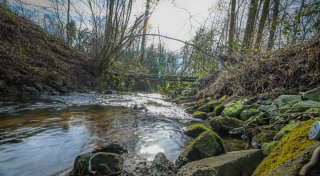 Jahrhundertgift in Bielefelder Bach: Gefährlich hohe Belastung gemessen