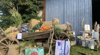 Von Alpakas bis Zirkus: Öko- und Bauernmarkt bei Steinheim bietet viel