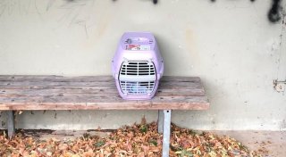 Gelähmter Kater in Minden ausgesetzt - Facebook-Beitrag des Tierheims empört Tausende