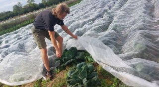 Nah dran und fair: So läuft es bei der solidarischen Landwirtschaft in Warburg