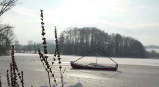 Schnee im Winter 2010