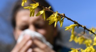 Heuschnupfen: Was hilft schnell bei Pollenallergie?