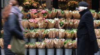 Schlechte Tulpen-Ernte treibt die Preise