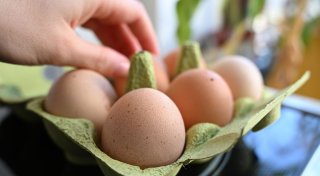 Gibt es eine Eier-Krise in Deutschland?