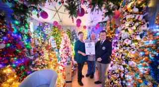 Weltrekordversuch geglückt: 600 Weihnachtsbäume in Wohnung