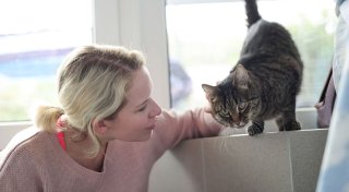 Schmusen und Spielen - Tierheime suchen Katzenstreichler