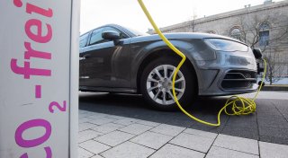 Kreis Höxter kompakt: Herausforderungen bei E-Ladesäulen und neuer Hundesalon