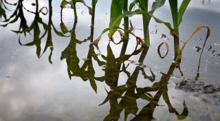 EU-Kommission will 90 Prozent weniger Emissionen bis 2040