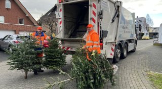 Sammlung der Paderborner Weihnachtsbäume kurz vor Abschluss