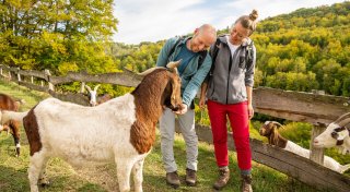 Fordernd bis familienfreundlich: Diese Wanderrouten gibt es im Kreis Höxter