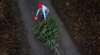 Weihnachtsbaum im Kreis Gütersloh entsorgen: Alle wichtigen Abholtermine im Überblick