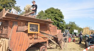 Tolle Knollen und knifflige Fragen beim Kartoffel- und Dreschfest